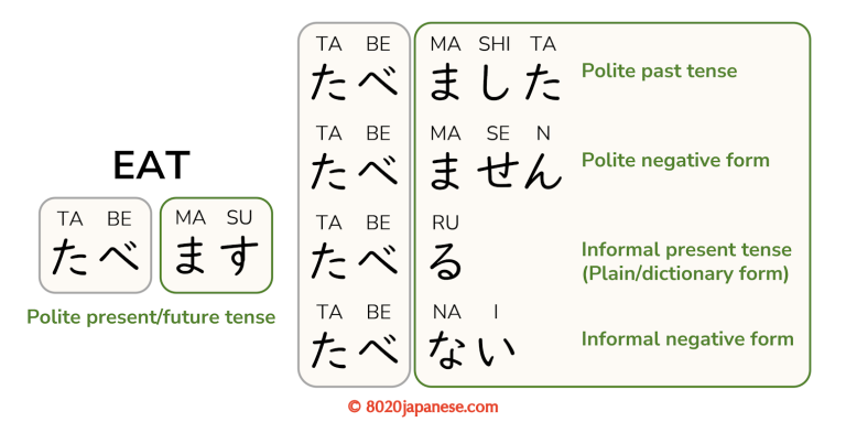 Understanding Japanese Verb Structure: A Visual Guide - 80/20 Japanese
